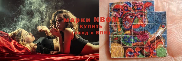 крисы Абаза