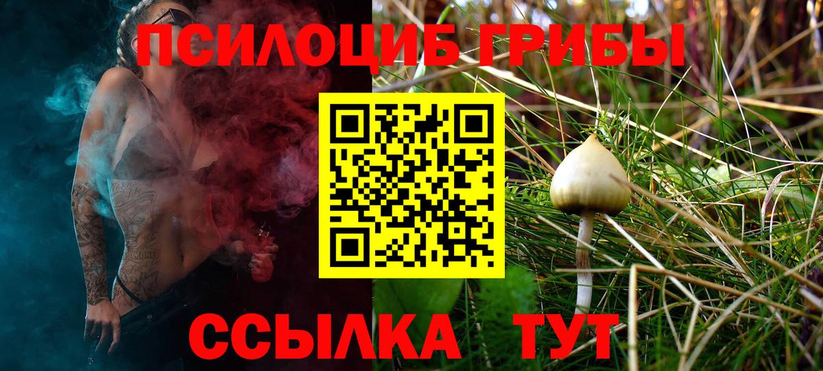 Балахна  Галлюциногенные грибы MAGIC MUSHROOMS  Вход с VPN 