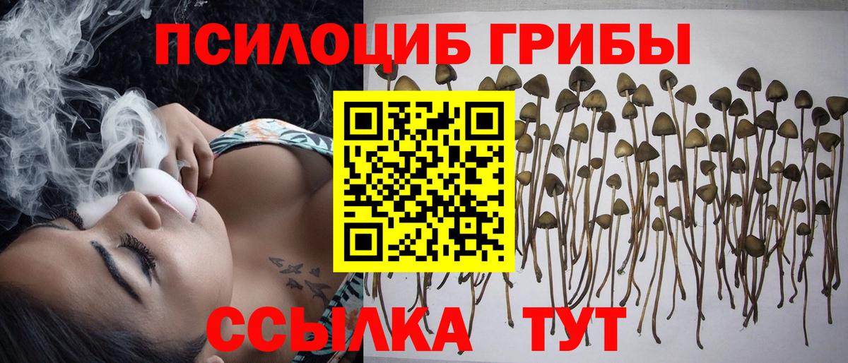 Балахна  Псилоцибиновые грибы прущие грибы  Вход с VPN 